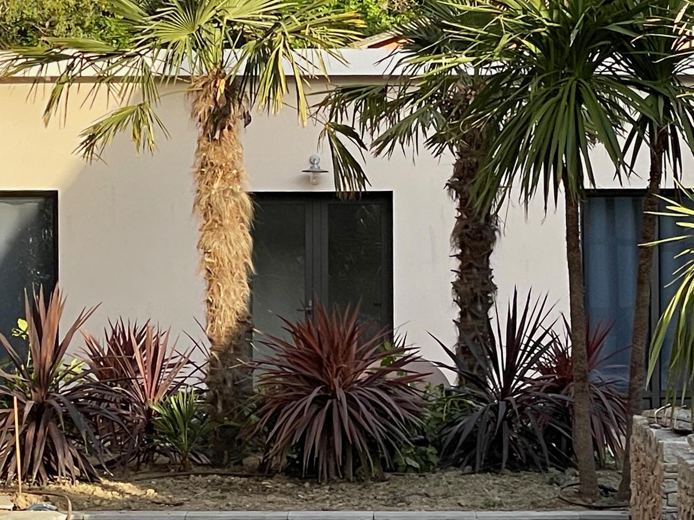 paysagiste toulouse, jardin exotique, architecte paysagiste, couloir de nage